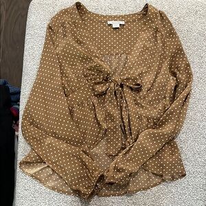 Brown Polka Dot Blouse
